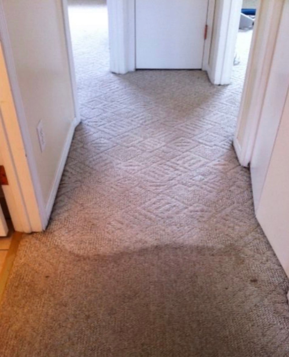 Living Room Carpet