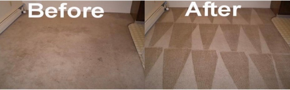 After professional carpet cleaning