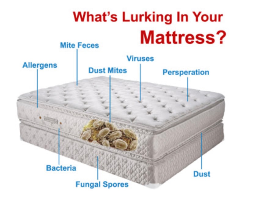 Mattress Cleaning